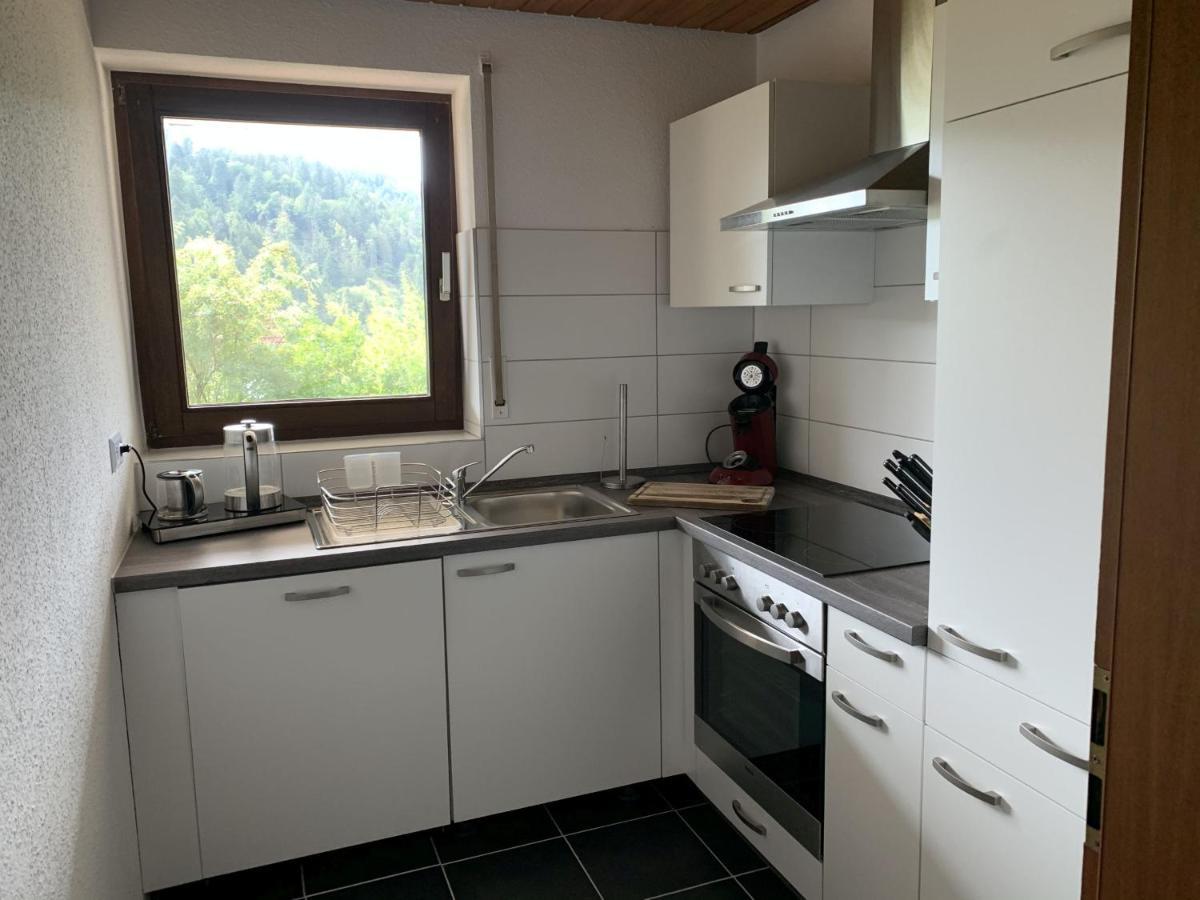 Schlossblickwohnung Schiel 게른스바흐 외부 사진