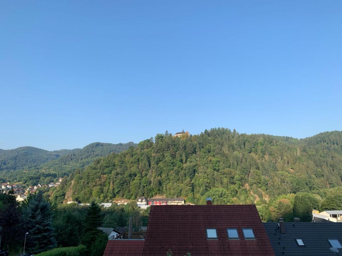 Schlossblickwohnung Schiel 게른스바흐 외부 사진